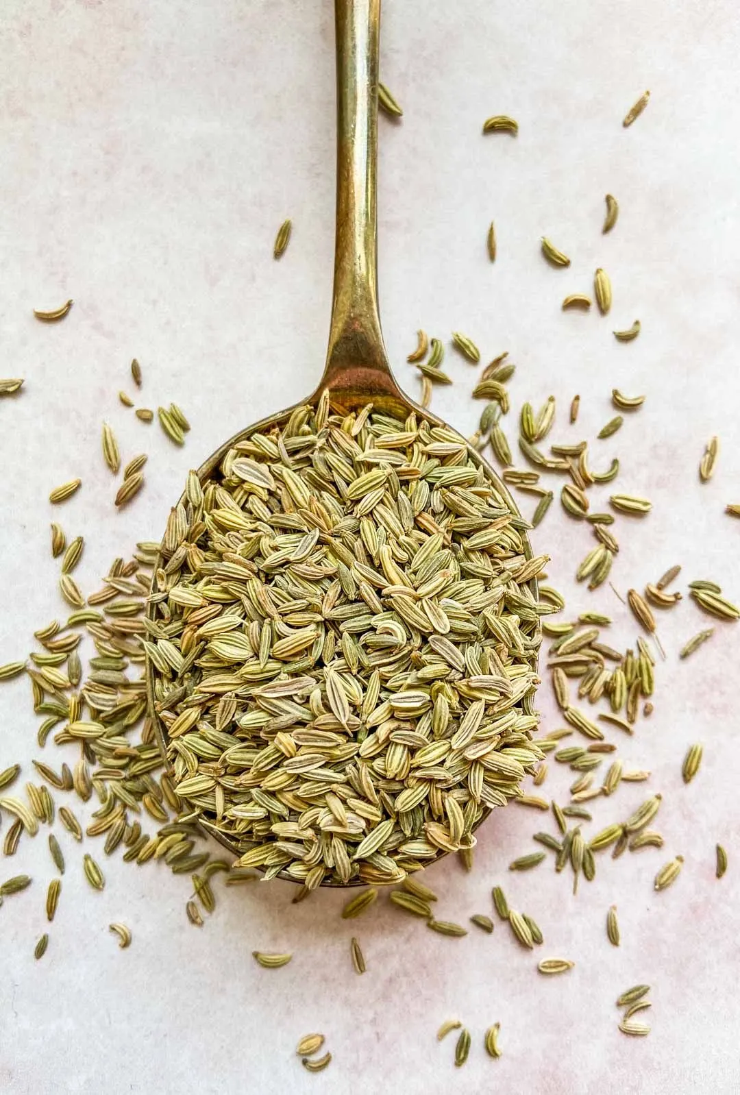 Best Fennel Teas for Digestion and Cooling