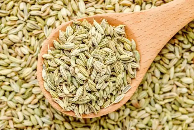 Original Fennel Tea: Pure Digestive & Cooling Herbal Tea